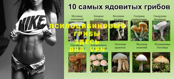 мескалин Елабуга