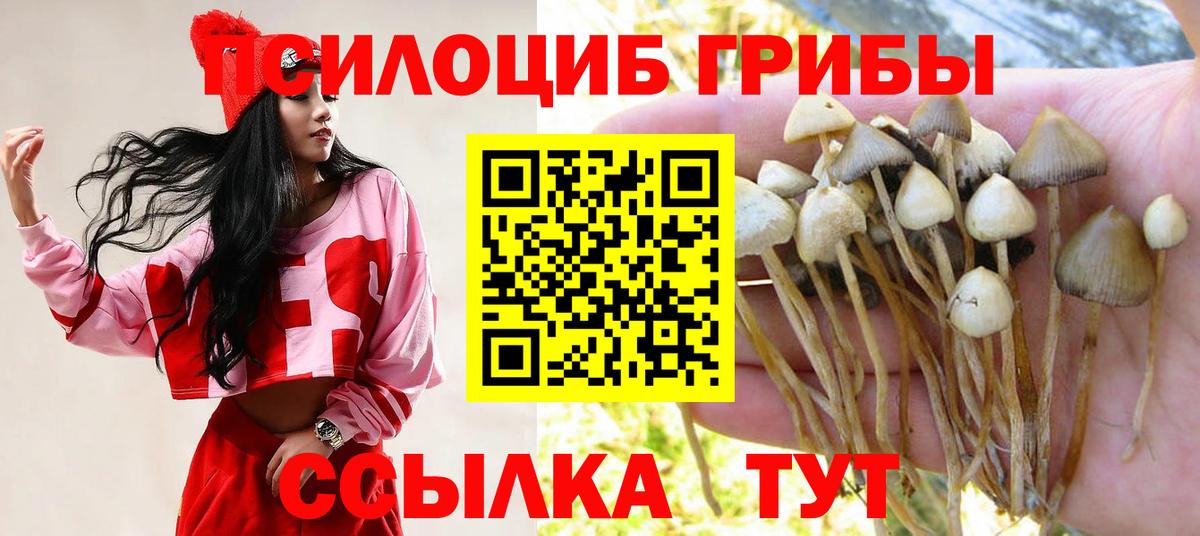 где купить наркотик  Вход с VPN  Псилоцибиновые грибы MAGIC MUSHROOMS  Кузнецк  Псилоцибиновые грибы Psilocybe 